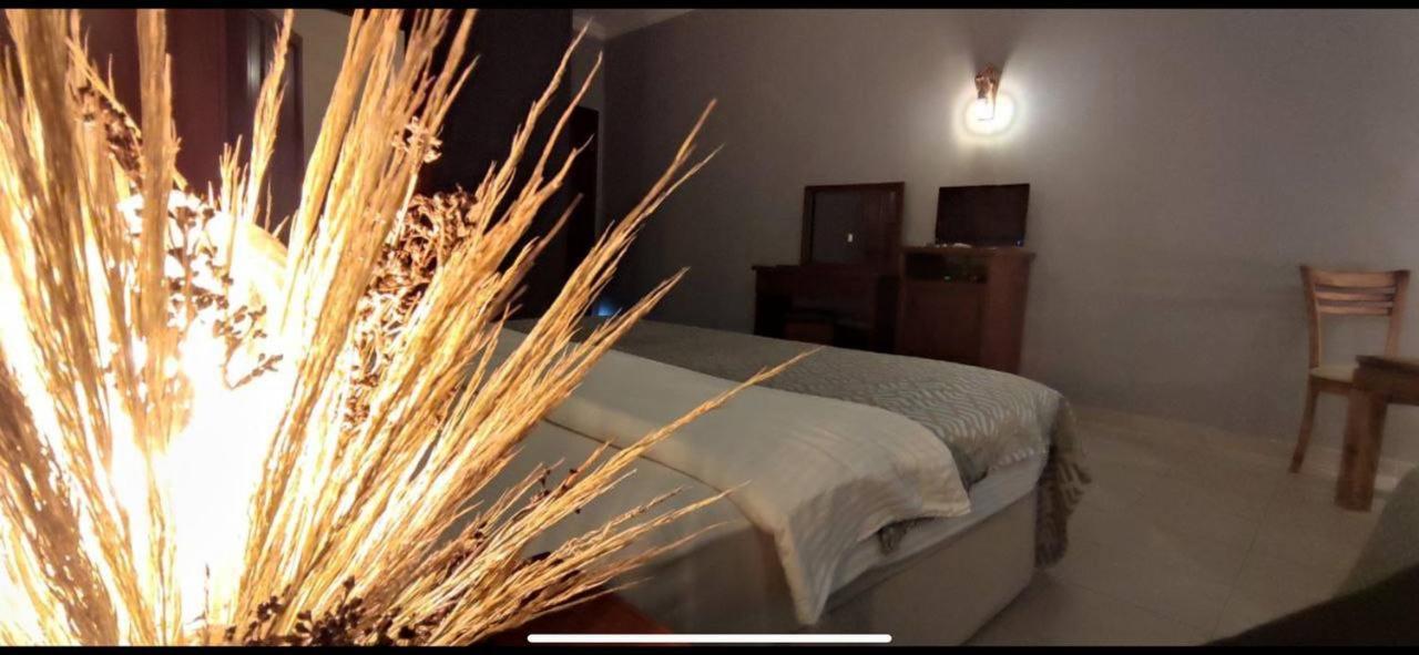 Bacahan Hotel Altınoluk エクステリア 写真